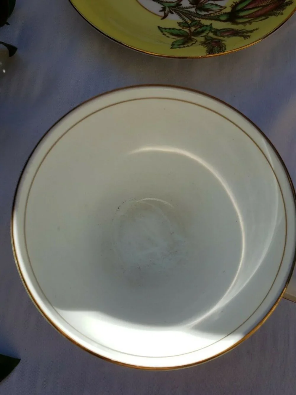 Vintage Taylor & Kent Bone China Cup and Saucer  England Yellow Wild Roses